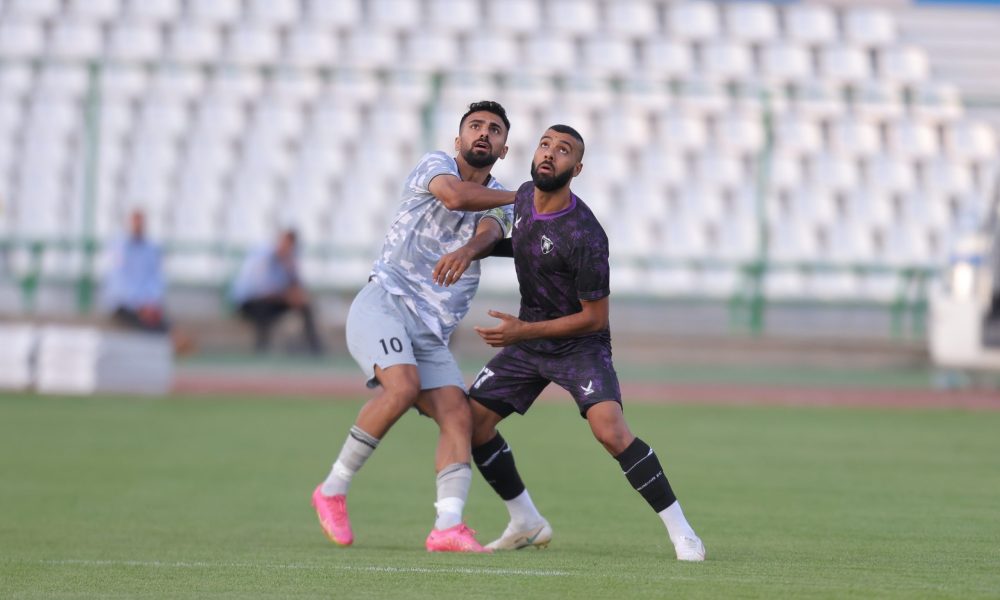 هوادار