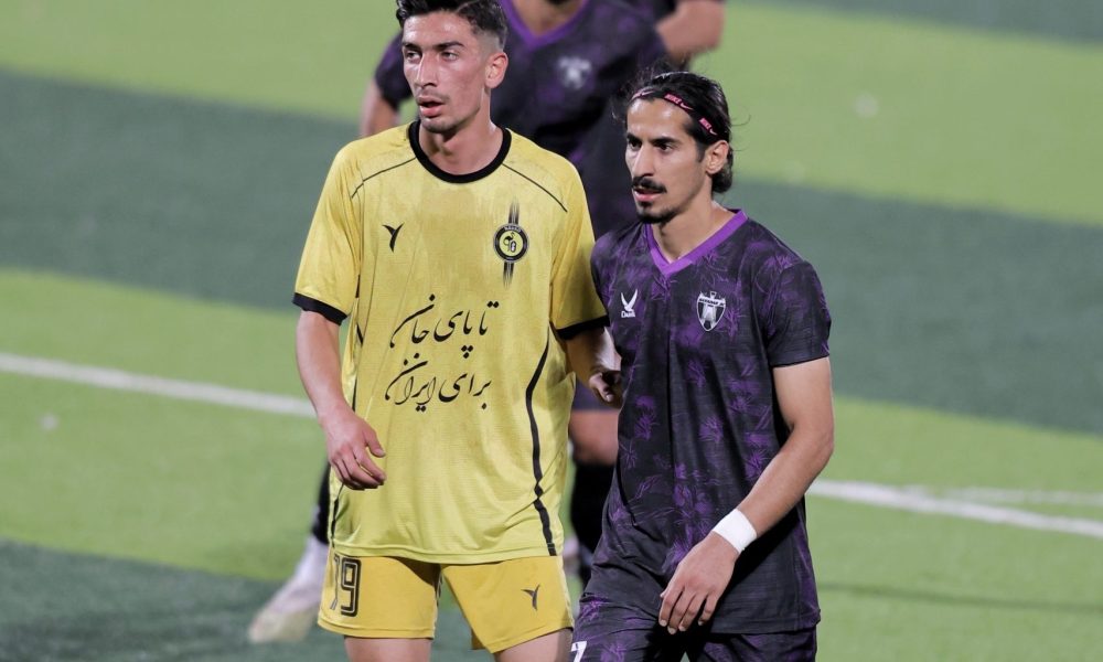 هوادار